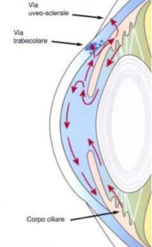 glaucoma1 glaucoma1